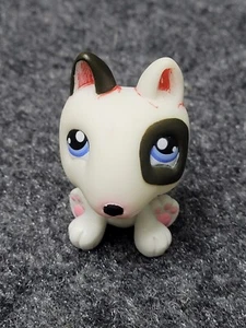 Littlest Pet Shop #No Pit Bull Terrier Dog Puppy Diary White Black Blue Dot Eyes - Picture 1 of 8