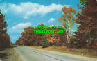 R513310 Vacationland Scene. Highway To Happiness. L. L. Cook. Kodachrome