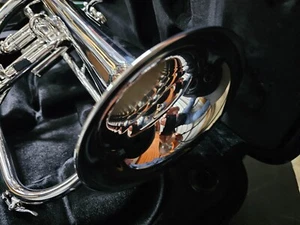 Eastman Flugelhorn Model EFG512GS Gold Brass Bell Silver Plated never played - Picture 1 of 7