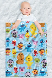 Sesame Street Fleece Baby Blanket, 30"x40", Cute Character Pattern - Picture 1 of 6