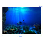 Fish Tank Background Decorative Painting Plants HD Aquarium Landscape Sticker