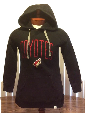 Arizona Coyotes Mens Pullover Hoodie Sweatshirt Black Embroidered Fanatics Mediu Cover