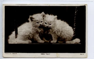 (Gc9475) RPPC, Cute Cat, Kitten Postcard, Hold Tight on swing 1922 - Picture 1 of 4
