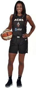 JACKIE YOUNG Las Vegas Aces WNBA 2023 Champions - Window Cling Sticker Decal NEW - Picture 1 of 1
