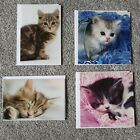 Set Of 4 Cat Cards With White Envelopes - Blank For Any Occasion