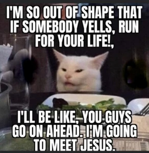 Lustige Katze Kühlschrankmagnet 3 1/2 x 4 "" - Bild 1 von 1