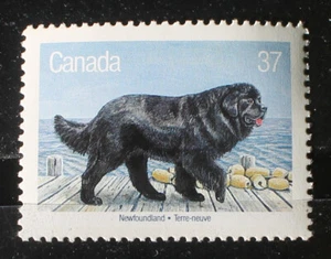 Canada 37 cent stamp 1988 MNH #1220 Newfoundland - Dogs of Canada - Picture 1 of 1