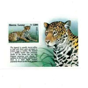 Sierra Leone, Animals, Leopard, Souvenir Stamp Sheet MNH, Scott #1655 Philatelic - Picture 1 of 2