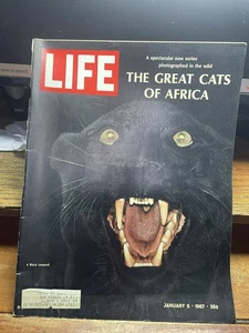 Life Magazine January 6,1967 The Great Cats Of Africa - Bild 1 von 4