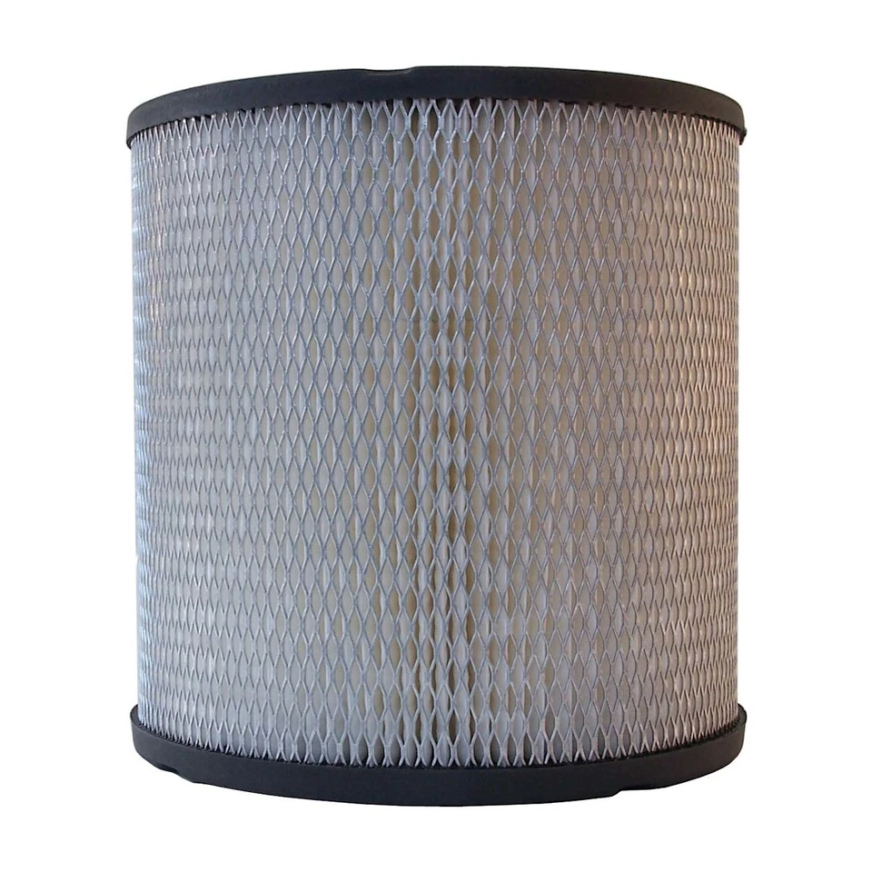 Filtro de aire A925C CA Delco para Olds Chevy Cutlass cupé Buick Century Ciera LLV Foto 1 de 1