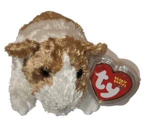 Ty Beanie Baby - TWITCH the Guinea Pig 6" COMO NUEVO con ETIQUETAS COMO NUEVO Juguete de Peluche - Imagen 1 de 12