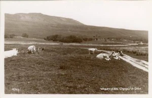 FOTO REAL POSTAL DE WHERNSIDE, CHAPEL-LE-DALE, (CERCA DE INGLESTON) WEST YORKSHIRE - Imagen 1 de 2
