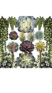 caqpo Künstliche Sukkulenten 15er Pack Premium Ungetopft Sukkulenten Pflanzen Kunst (G) - Bild 1 von 6