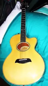 NOS NEW NEU ARIA 12 STRINGS AKUSTIK ELEKTRIK GITARRE VINTAGE ACOUSTIC E GUITAR - Bild 1 von 1