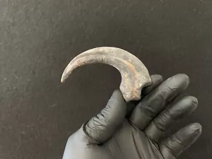 Velociraptor Réplique de griffe Dinosaure Raptor Dinosaur Fossil claw - Foto 1 di 4