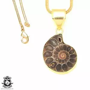 Ammonite 24K Gold Plated Pendant 3mm Snake Chain GPH679 - Picture 1 of 10