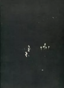 LIBRACE - PROGRAMA DE MÚSICA DE RECUERDO - AUDITORIO KIEL, ST LOUIS - 1953 - Imagen 1 de 4