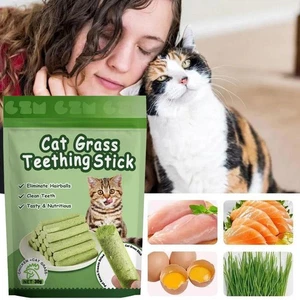 ✨6X Cat Grass Teething-Stick Pet Snack Hairball Removal ✨ ◇ Teeth Cat B4D2 - Picture 1 of 12