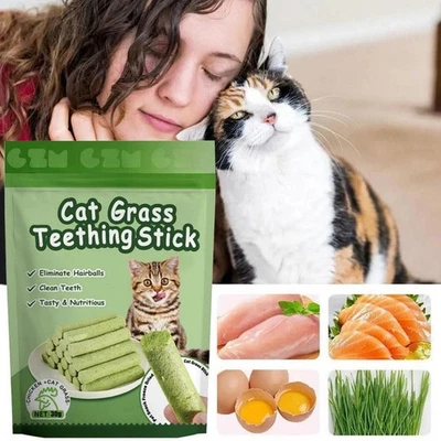 ✨6X Cat Grass Teething-Stick Pet Snack Hairball Removal ✨ ◇ Teeth Cat B4D2 - Image 1 of 4