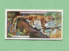 1924 JOHN PLAYER & SONS NATURAL HISTORY CIGARETTE CARD #26 SNOW LEOPARD OR OUNCE
