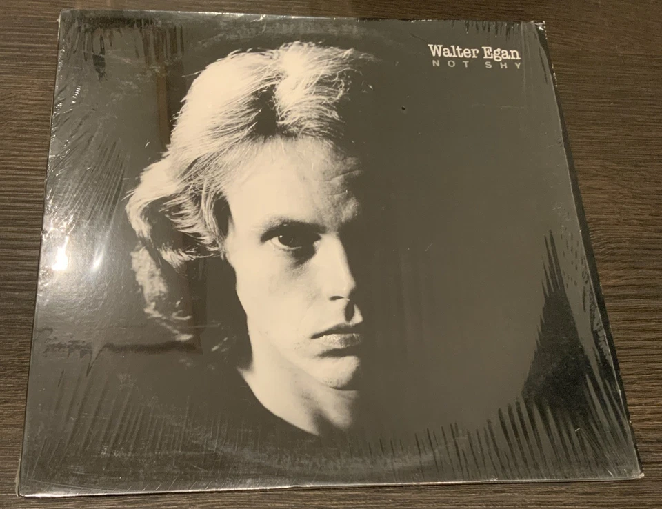 Walter Egan: Not Shy 1978, Pitman Pressing, VG JC 35077 Vinyl LP Foto 1 de 4