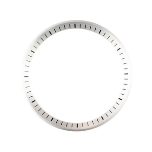 C0213 SKX013 Chapter Ring - Brushed Silver with Marker - Picture 1 of 6