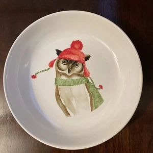 222 Fifth Winter Cheer 2” Tazón para servir poco profundo búho vacaciones de Navidad, adorable - Imagen 1 de 7