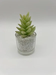Sainsburys Home - Künstliche Mini Indoor Sukkulente im Glastopf - Bild 1 von 1