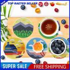 Diy Coaster Set Plant 8Pcs Diamond Paintings Kits Beach For Adults And Beginners