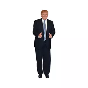Donald Trump (Blue Tie) Life Size Cardboard Cutout Standup, 6 feet - Picture 1 of 2