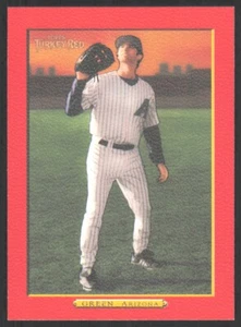 2006 Topps Turkey Red Border Parallel Shawn Green #318 - Picture 1 of 2