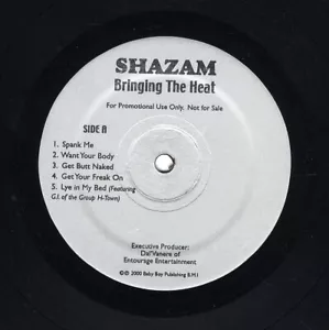 Shazam - Bringing The Heat '00 LP US ORG!VG+/VG - Picture 1 of 1