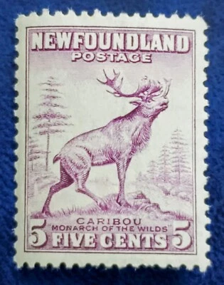 NEWFOUNDLAND MLN 5 CENT CARIBOU MORARCH OF THE WILD - Image 1 of 4