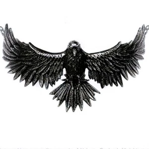Curse Of Coronis Necklace Choker, Gothic Raven Beauty Bird Gift, Alchemy England - Picture 1 of 5