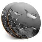 2 X Coasters Bw - Black Spotted Eagle Manta Ray  #42585