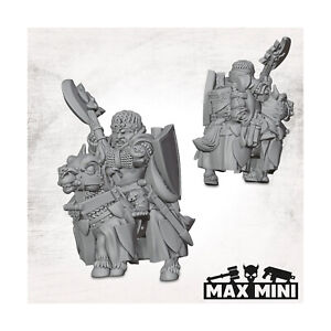 Maxmini Fantasy Mini 28mm Mounted Lord Pack New