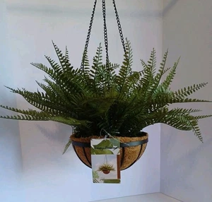 Tommy Bahama Home Felce Artificiale da Appendere per Portico Anteriore o Balcone, 29"... - Foto 1 di 4