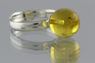 Anillo ajustable de plata con cuentas redondas ámbar báltico genuino fósil GNAT 3,4 g 00407-10 Foto 1 de 4