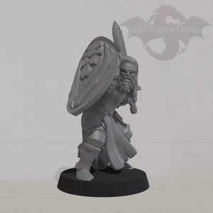 Male Knight - Heroquest Inspired,Dungeons and Dragons, 5e, Pathfinder - Picture 1 of 7