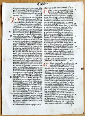 Tobias - Оригинальный Incunable Leaf Biblia latina Amerbach Basel - 1491 - Изображение 1 из 2