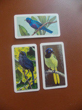 Brooke Bond Canada "Tropical Birds" 1964 original teacards Nos38,37,31/48cv£2.25