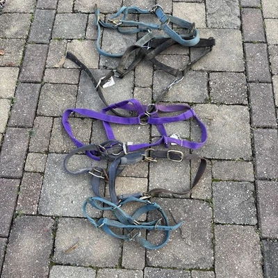 Caja Lote De Porta Caballos Con 1 Halter Colt Varios Colores Foto 1 de 4