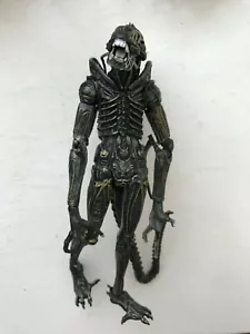 NECA ALIENS SERIES 1 2013 XENOMORPH WARRIOR BROWN GOLD FIGURE ALIEN VS PREDATOR - Picture 1 of 5