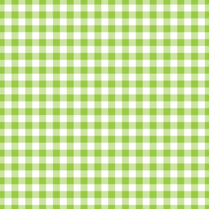 GREEN White Plaid Gingham 1/4" Check Vinyl Contact Paper Liner Peel Stick - Picture 1 of 2