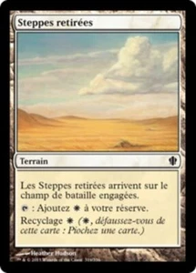 MAGIC MTG COMMANDER 2013 C13 #319 Steppes retirées - Secluded Steppe - FR - Imagen 1 de 1