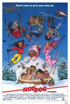 HOT DOG THE MOVIE POSTER 27 x 40 David Naughton, Patrick Houser, Shannon Tweed A