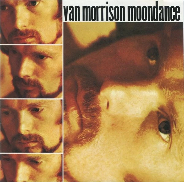 Van Morrison - Moondance (CD, Album, RE, SRC) (Very Good Plus (VG+)) 3902170888 Foto 1 de 1