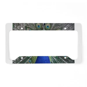 CafePress Peacock License Plate Holder License Frame (50782886) - Picture 1 of 2