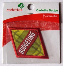 Current Girl Scout Cadette BUDGETING BADGE Money Manager Planning Patch NEW