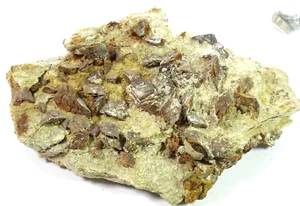 LARGE NATURAL CLUSTER of AXINITE CRYSTALS ON MATRIX - 1.039 kgs 16.5 x 10.5 cms - Picture 1 of 7